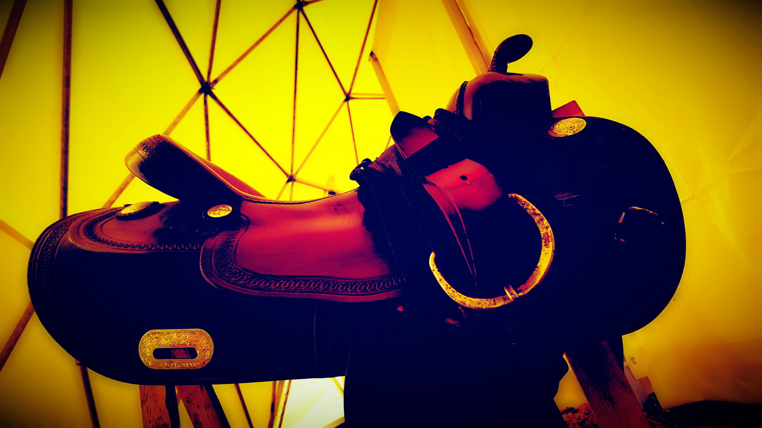 Žirgynas ir Manežas Kupolas Ø24m | Ūkininko ūkis, Ledziny, Lenkija