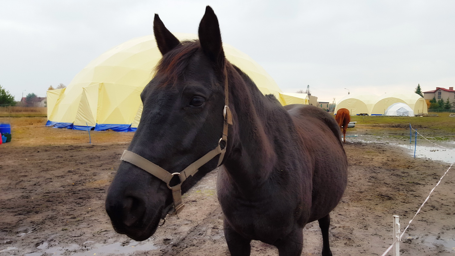 LedzinyDome132 LedzinyDome132