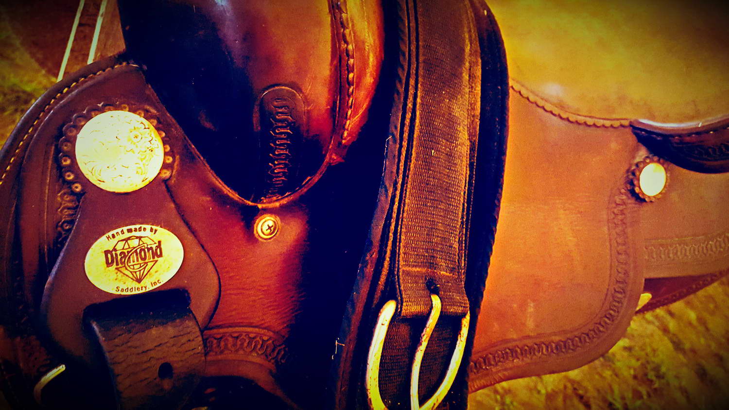 Žirgynas ir Manežas Kupolas Ø24m | Ūkininko ūkis, Ledziny, Lenkija