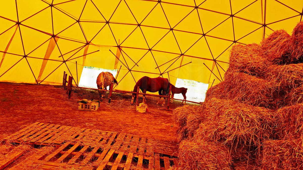 Žirgynas ir Manežas Kupolas Ø24m | Ūkininko ūkis, Ledziny, Lenkija