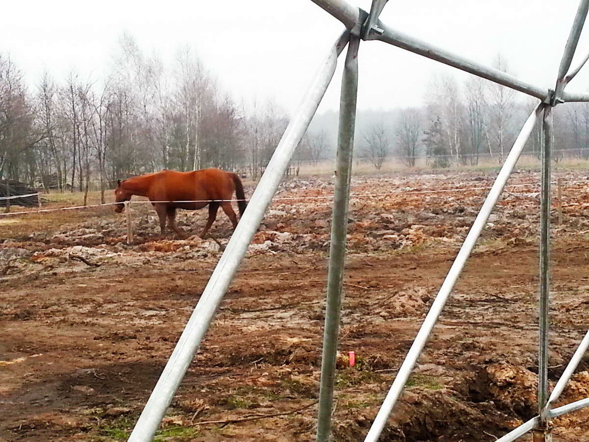 Žirgynas ir Manežas Kupolas Ø24m | Ūkininko ūkis, Ledziny, Lenkija