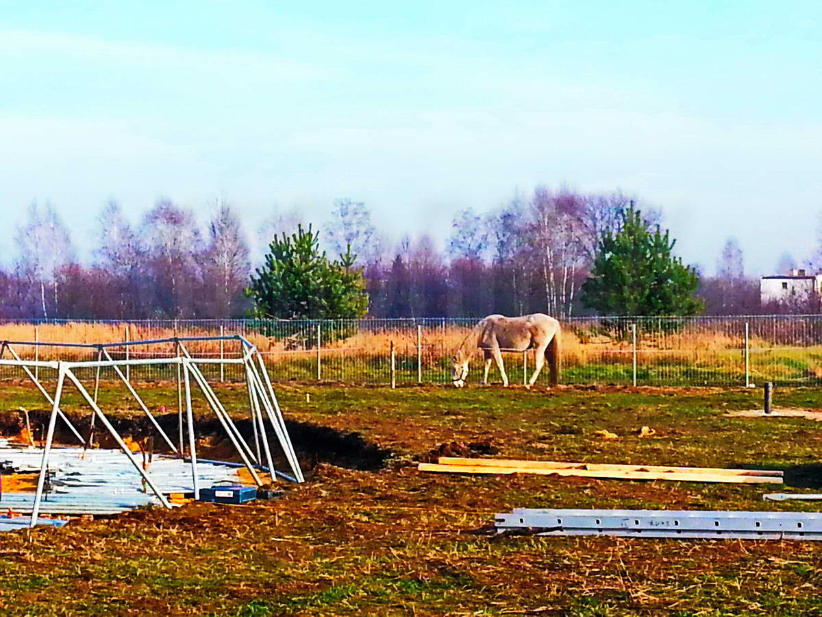 Žirgynas ir Manežas Kupolas Ø24m | Ūkininko ūkis, Ledziny, Lenkija