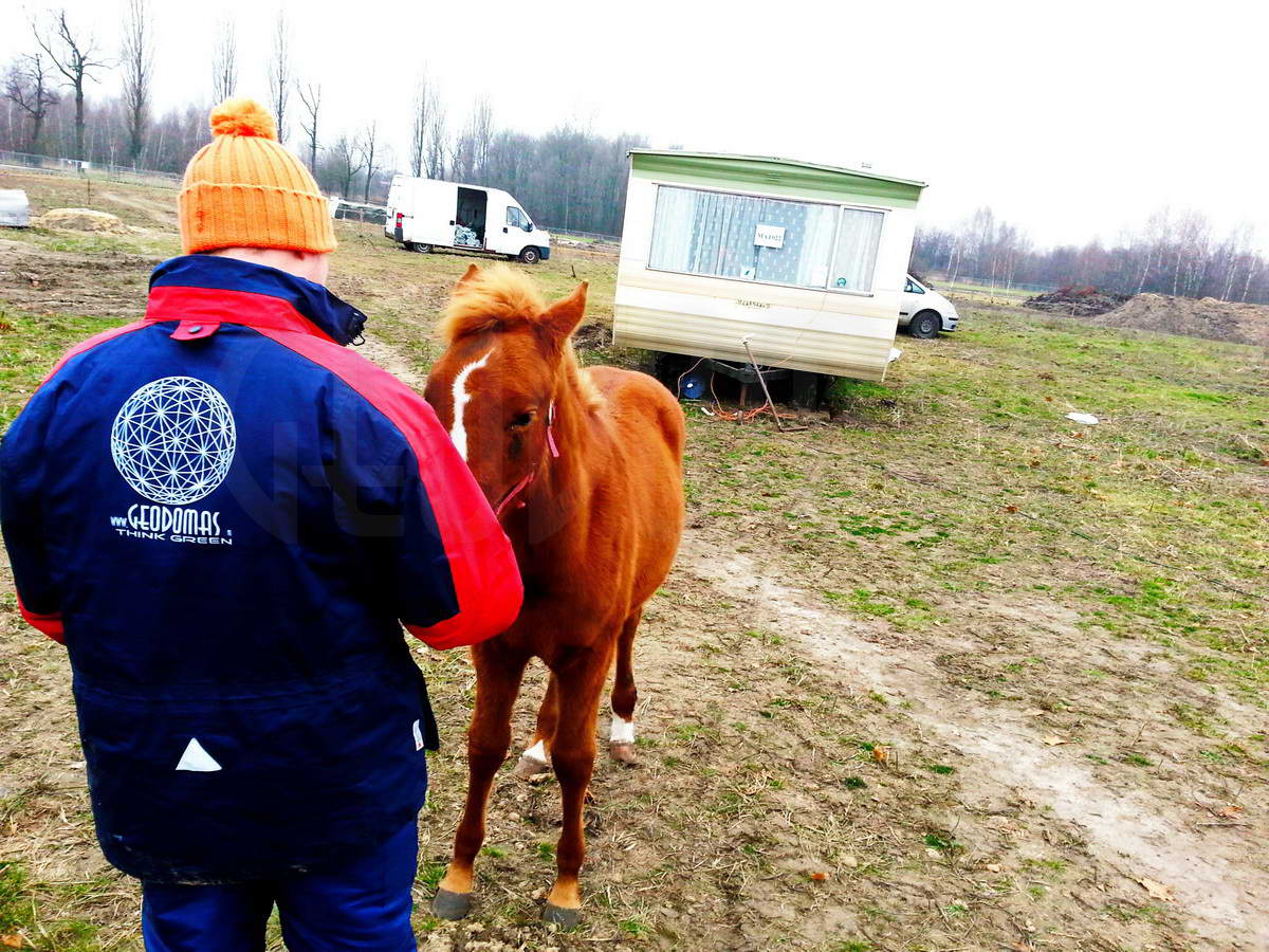 Žirgynas ir Manežas Kupolas Ø24m | Ūkininko ūkis, Ledziny, Lenkija