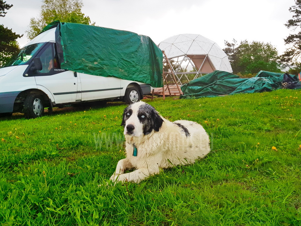 30m² LUXURY GLAMPING Ø6m Dome | Panel & Glass FAÇADE