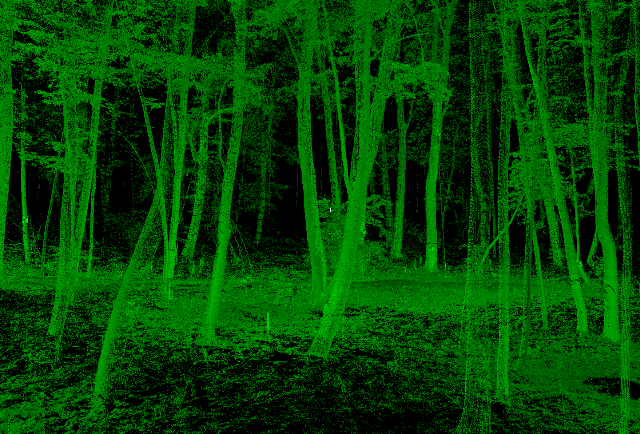 3D Scanning | 3D Point Cloud | Gigapixel Orto Photo