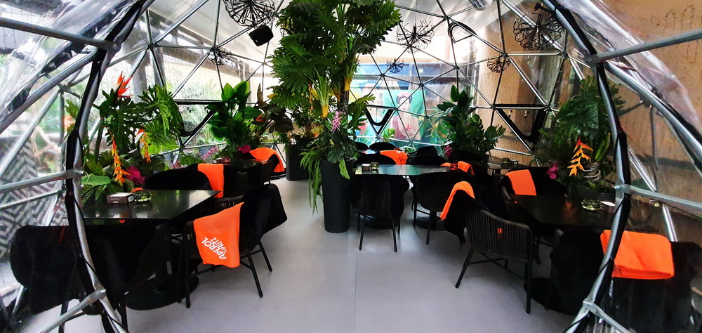 geodomas_Spritz_Summer_Garden_8 geodomas_Spritz_Summer_Garden_8