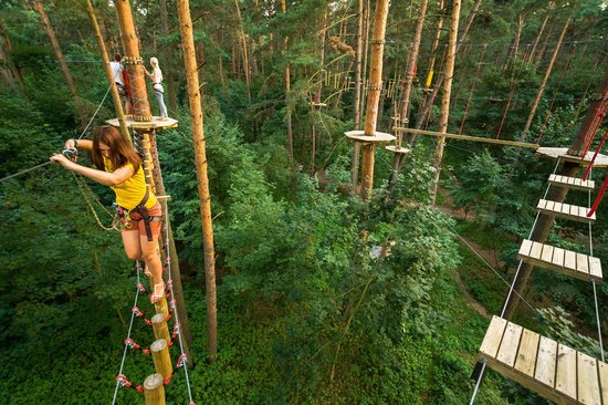 7m2 Ø3m Crystal Dome for Wild Nature | Treehouse Village