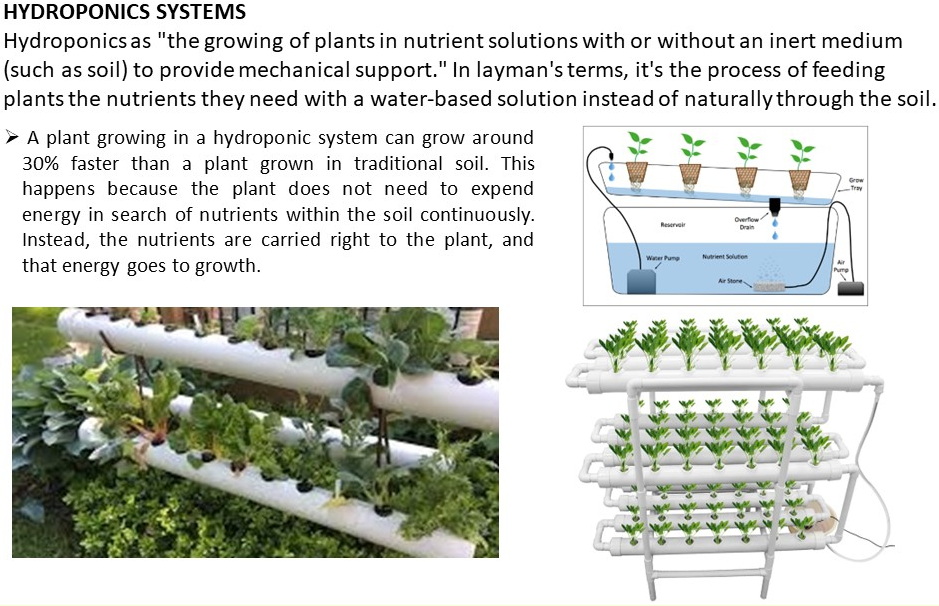 green_house_aeroponic_05