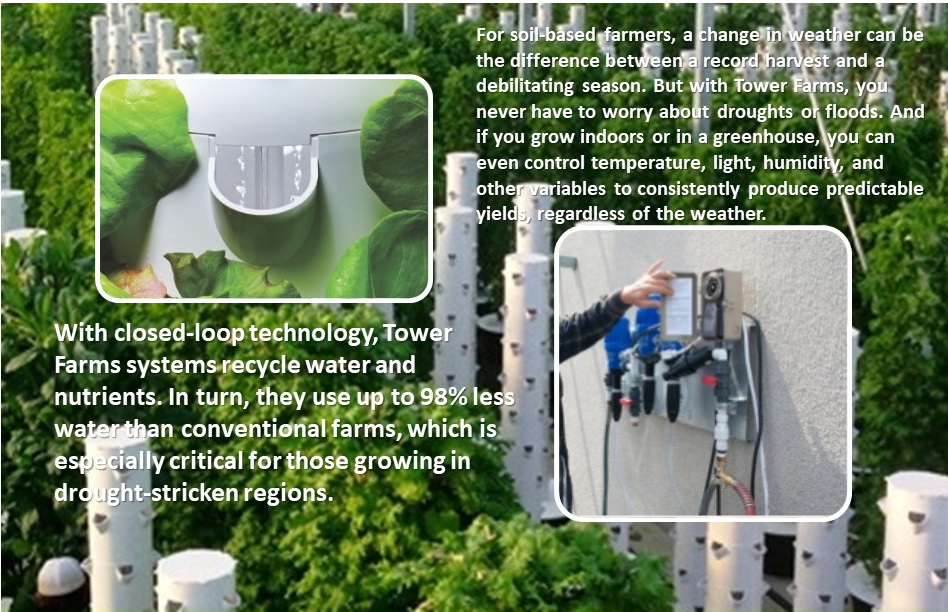green_house_aeroponic_06