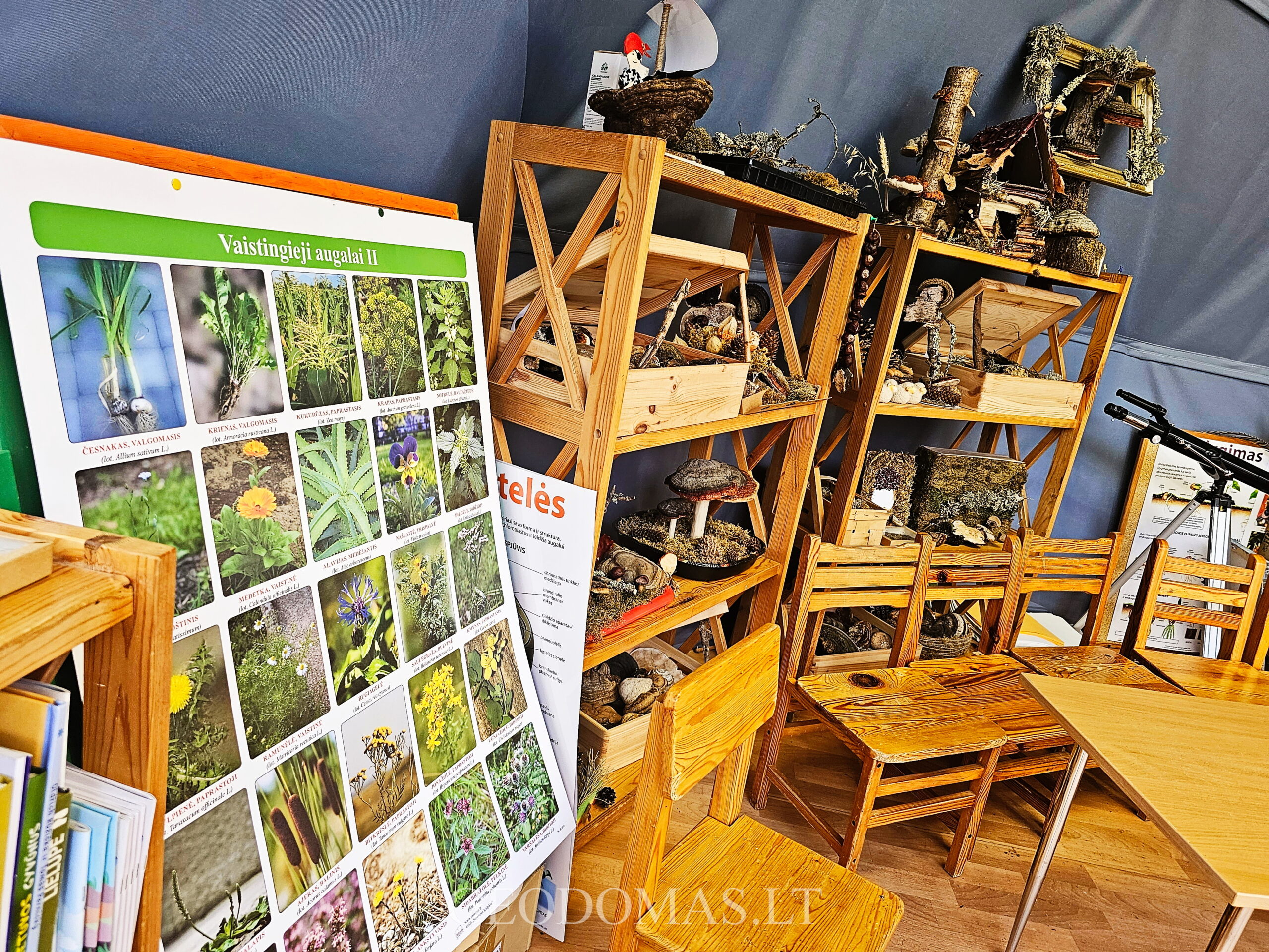 zilvinelio_darzelis_Geodomas_19