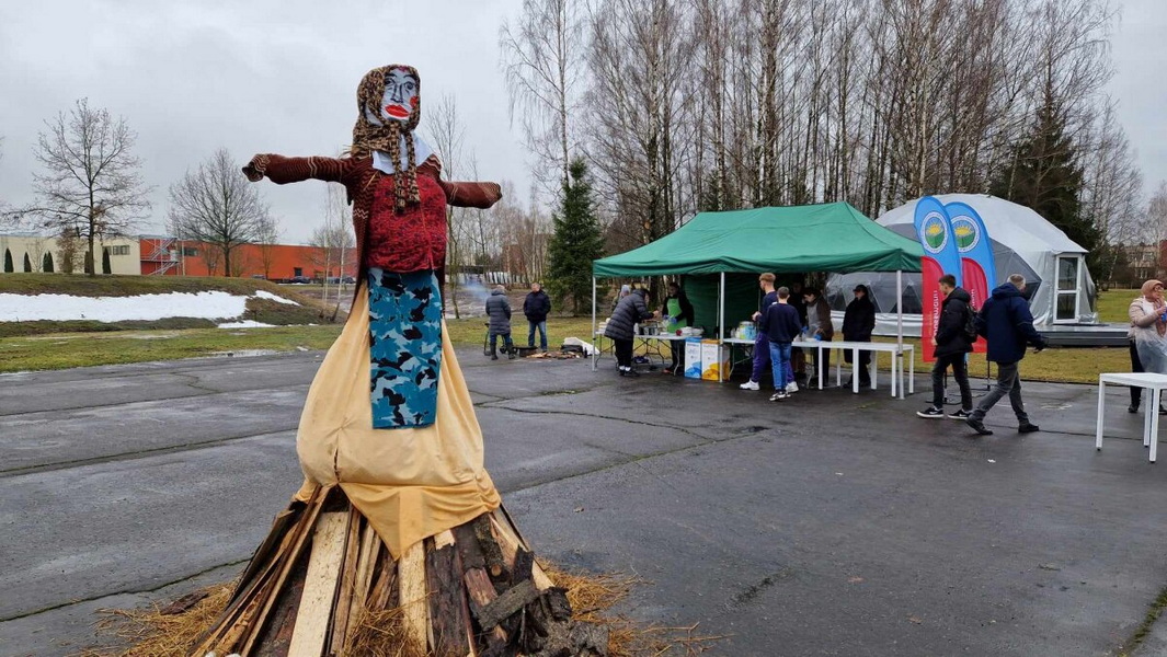 kaisadoris_kupolas_vaclovo_gimanzija_geodomas_01 kaisadoris_kupolas_vaclovo_gimanzija_geodomas_01