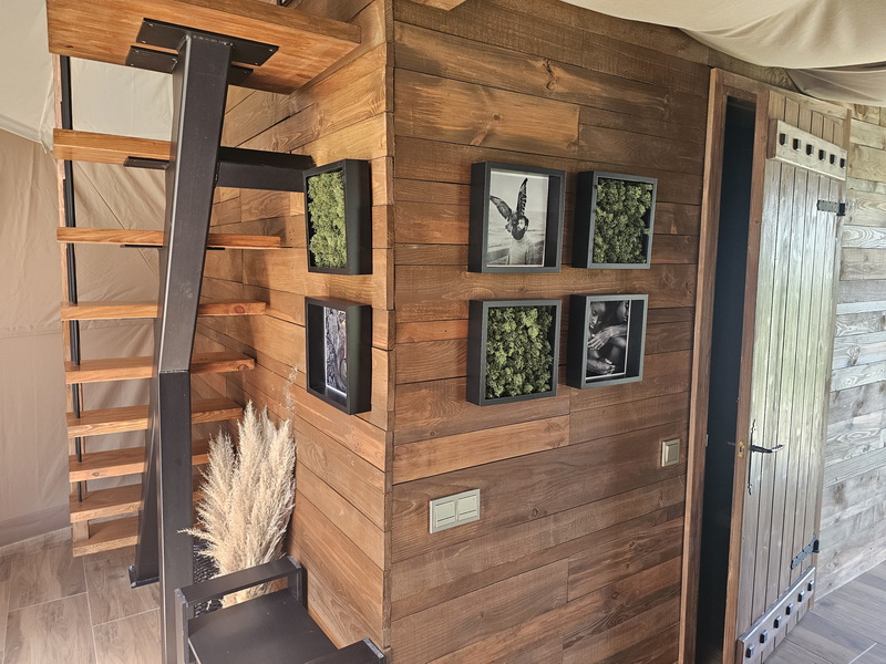 35m2 x4 Kupolai Žvaigždžių Slėnis Ø6,7m | Sližiai, Ukmergė